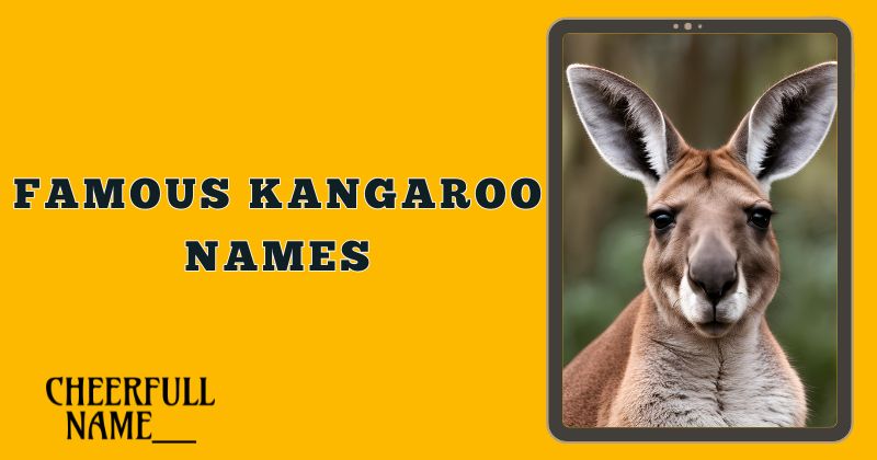 Famous Kangaroo Names