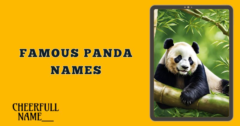 Famous Panda Names