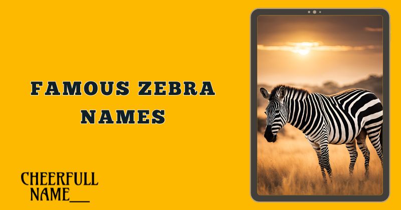 Famous Zebra Names