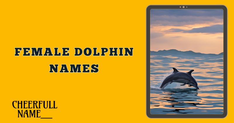 Female Dolphin Names