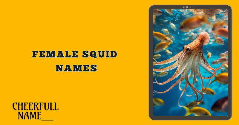 Female Squid Names