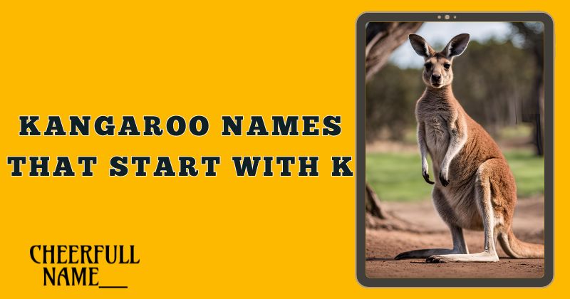 Kangaroo Names That Start With K