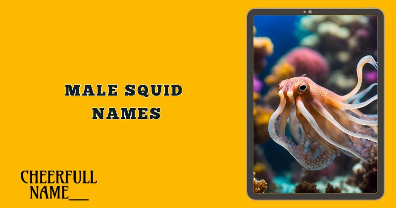 Male Squid Names