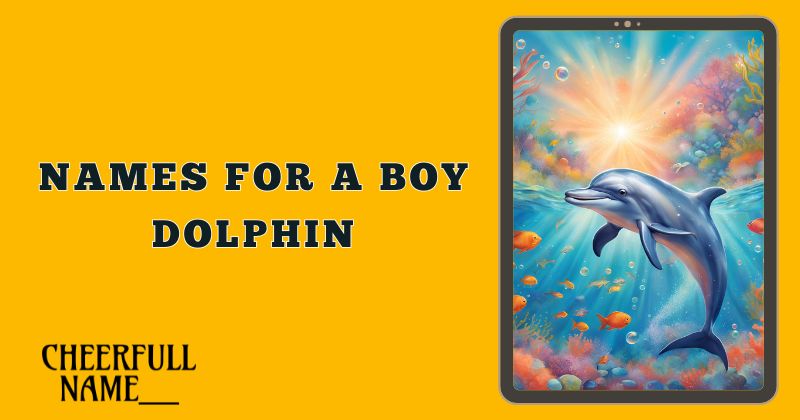 Names For A Boy Dolphin