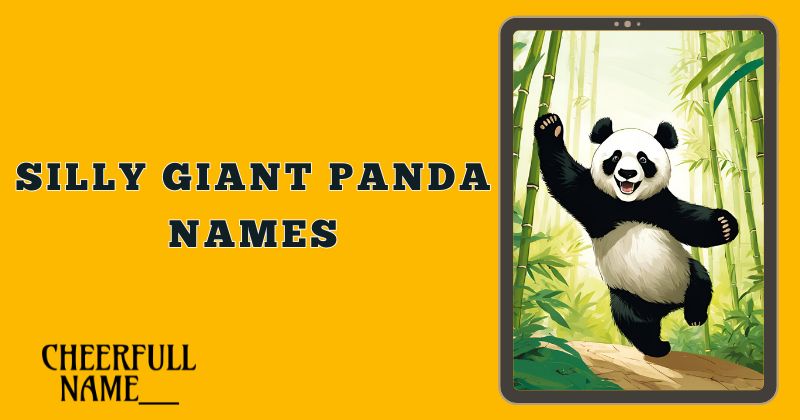 Silly Giant Panda Names