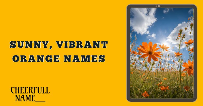 Sunny, Vibrant Orange Names