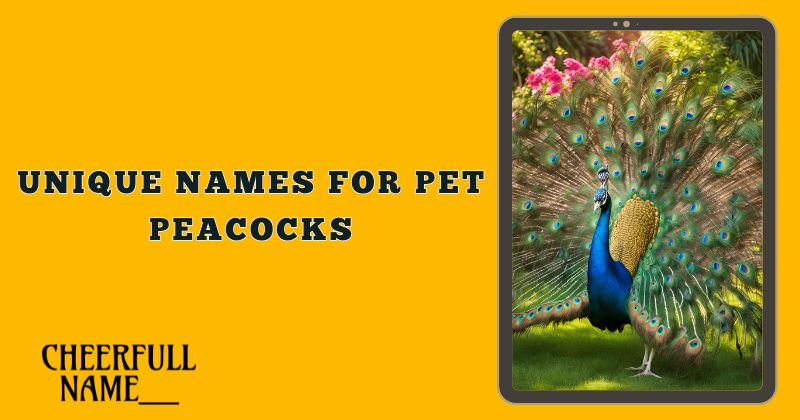 Unique Names For Pet Peacocks