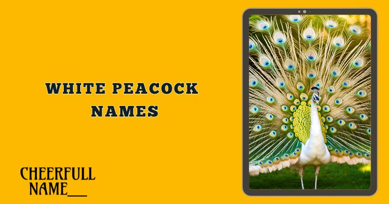 White Peacock Names