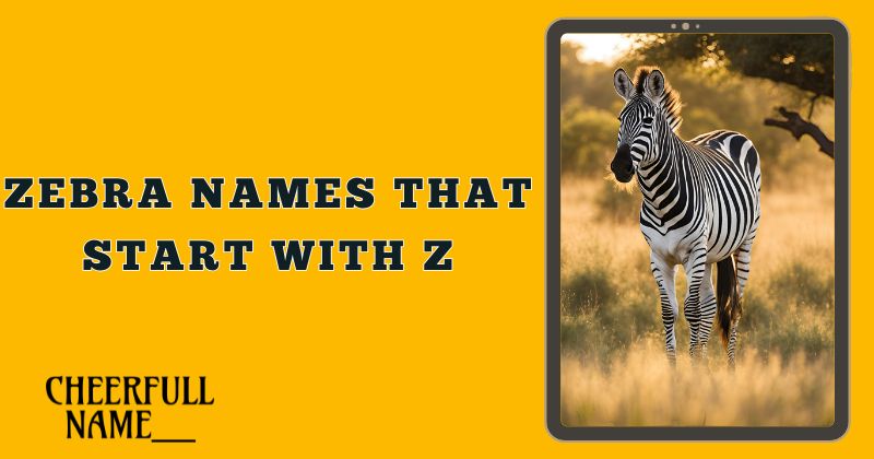 Zebra Names That Start With Z