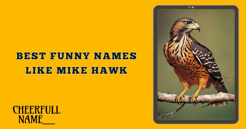 Best Funny Names Like Mike Hawk