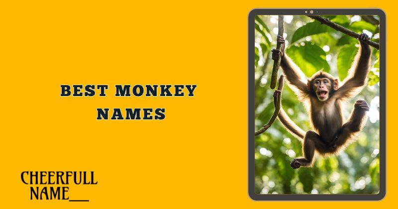 Best Monkey Names