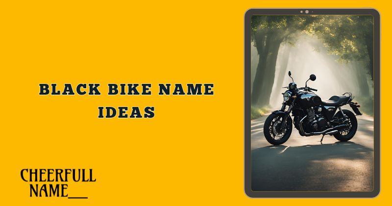 Black bike name ideas