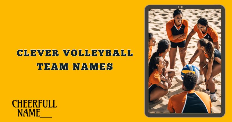 Clever Volleyball Team Names