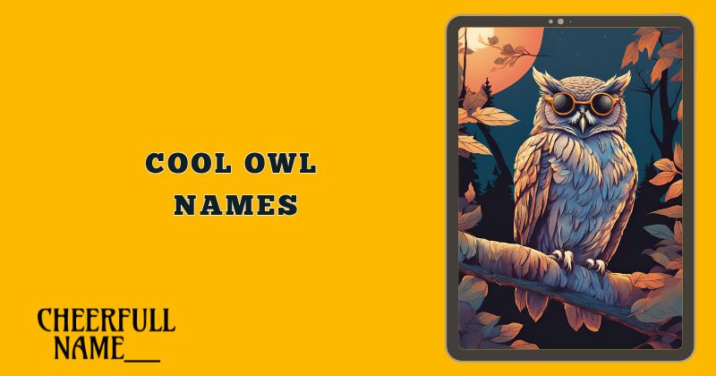 Cool Owl Names