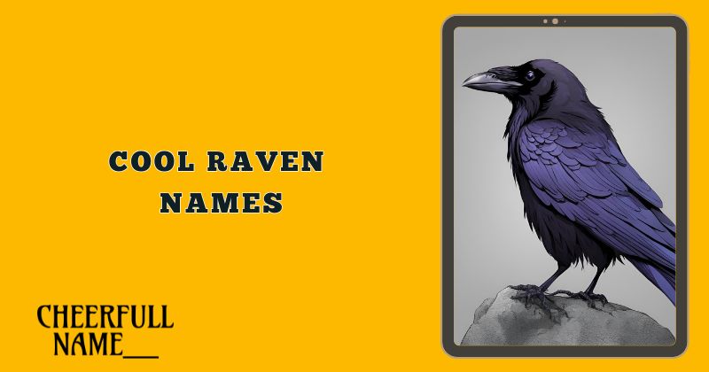 Cool Raven Names