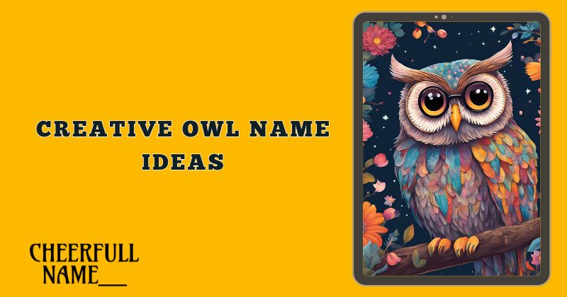 Creative Owl Name Ideas