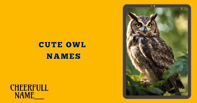 Cute Owl Names