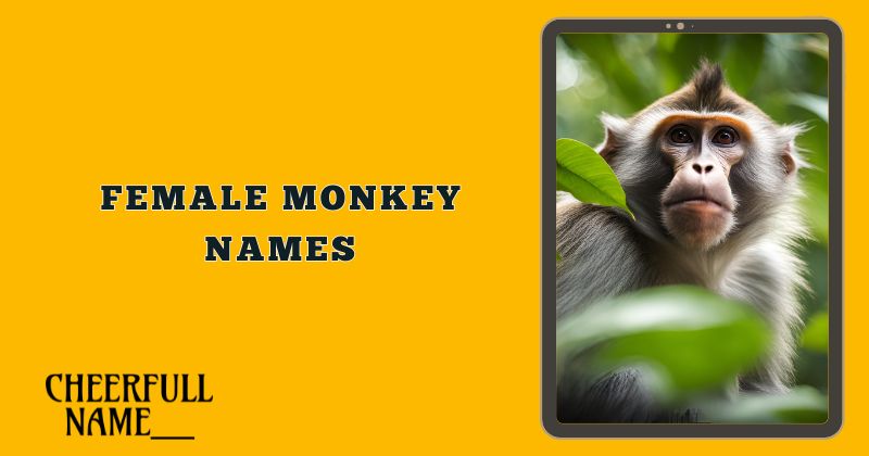 Female Monkey Names