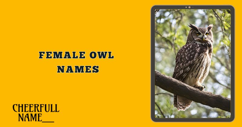 Female Owl Names