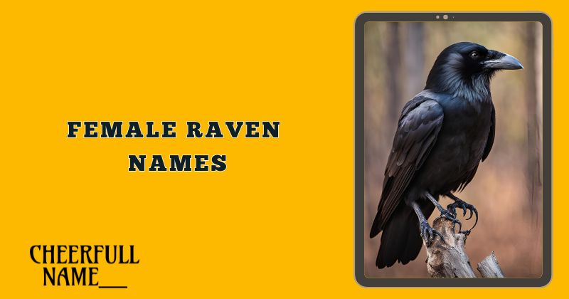 Female Raven Names