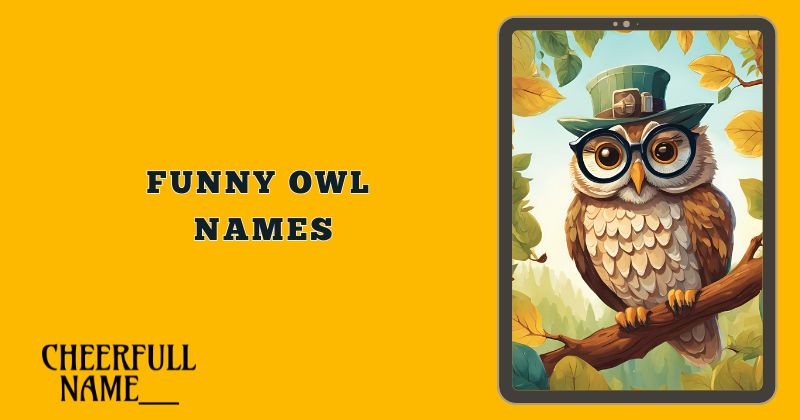 Funny Owl Names