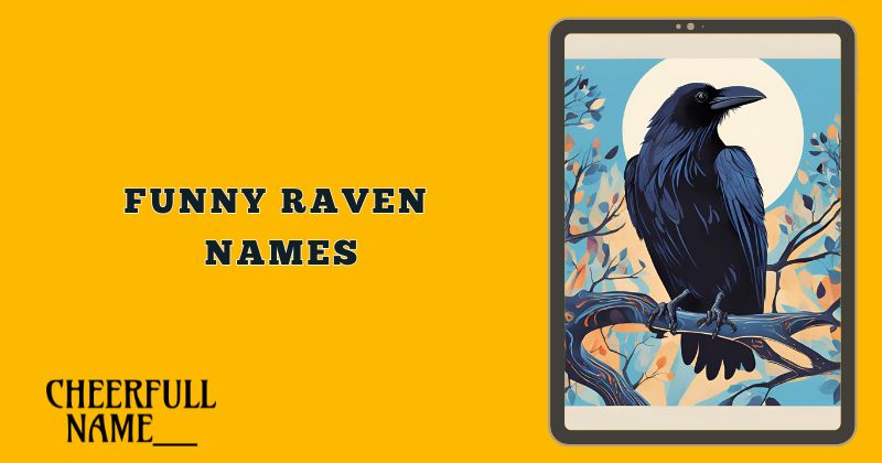 Funny Raven Names