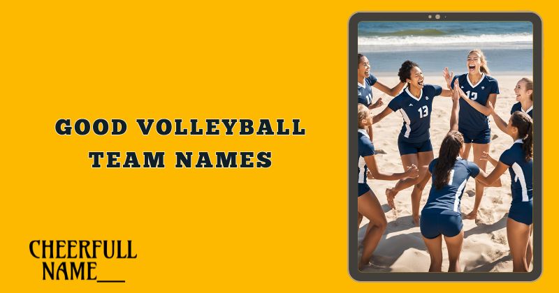 Good Volleyball Team Names