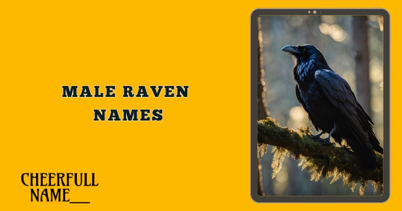 Male Raven Names