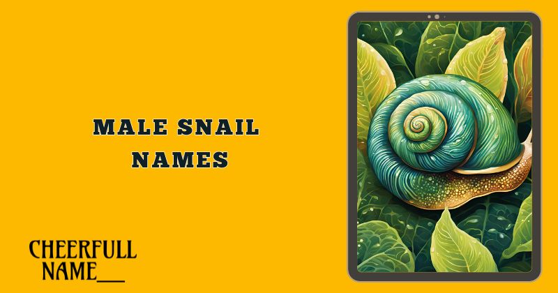 Male Snail Names