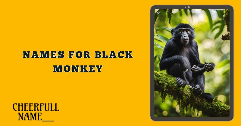 Names For Black Monkey