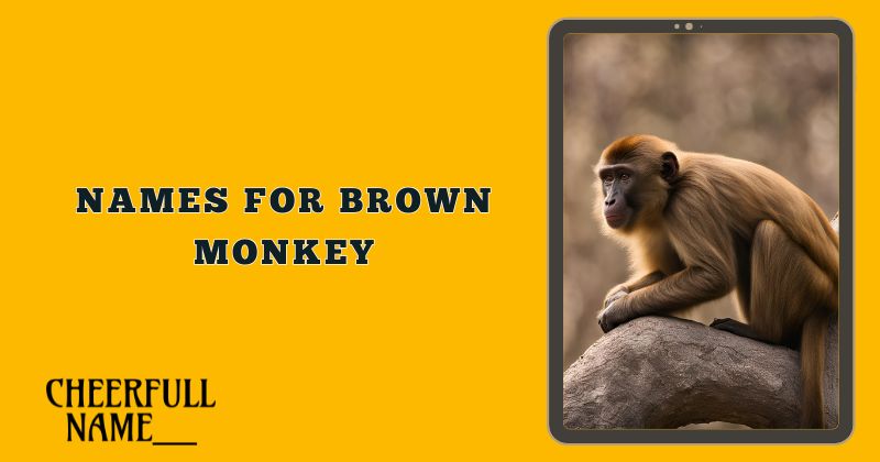 Names For Brown Monkey