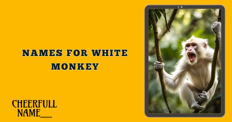 Names For White Monkey