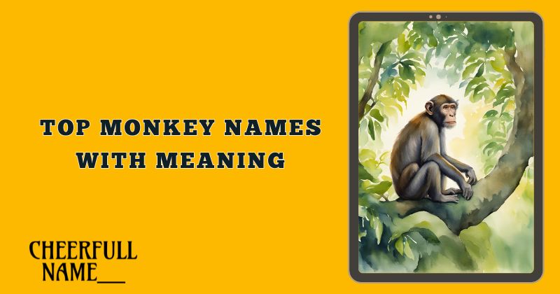 Top Monkey Names With Meaning