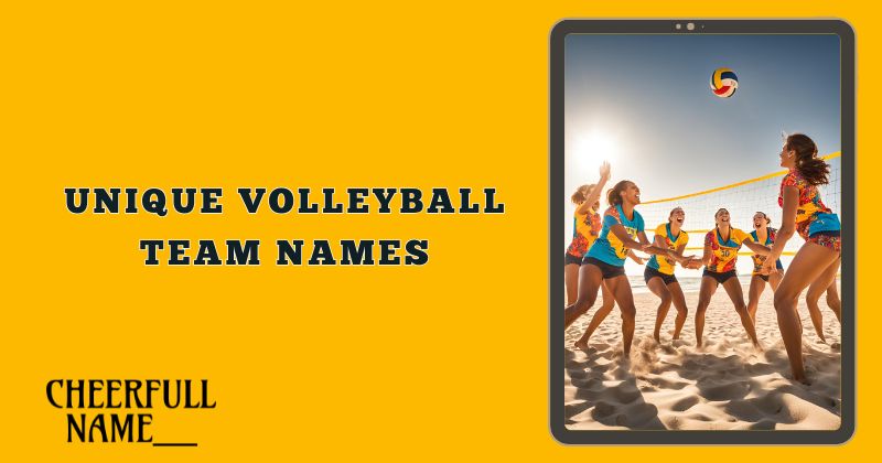 Unique Volleyball Team Names