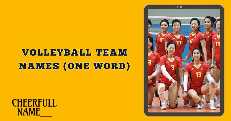 Volleyball Team Names (One Word)