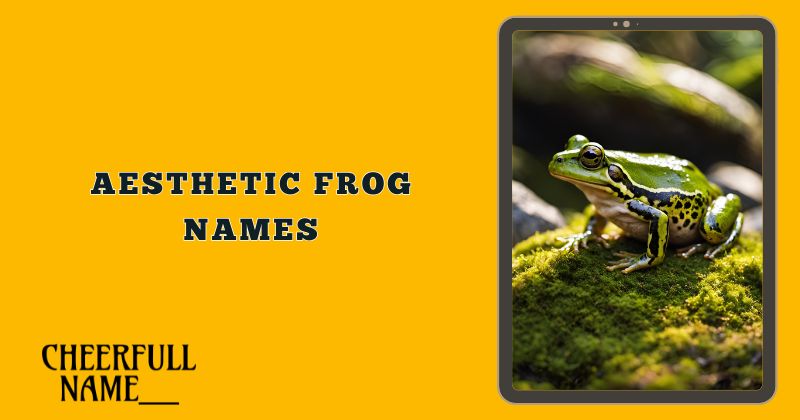 Aesthetic Frog Names