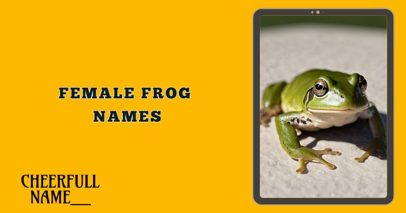 Female Frog Names