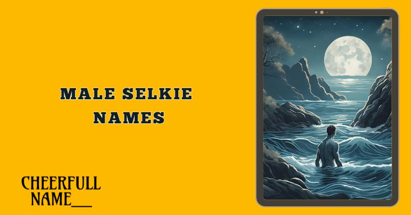 Male Selkie Names