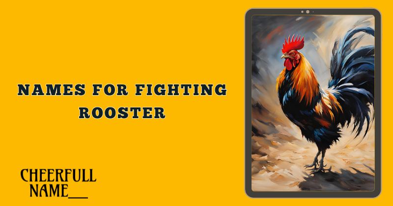 Names For Fighting Rooster