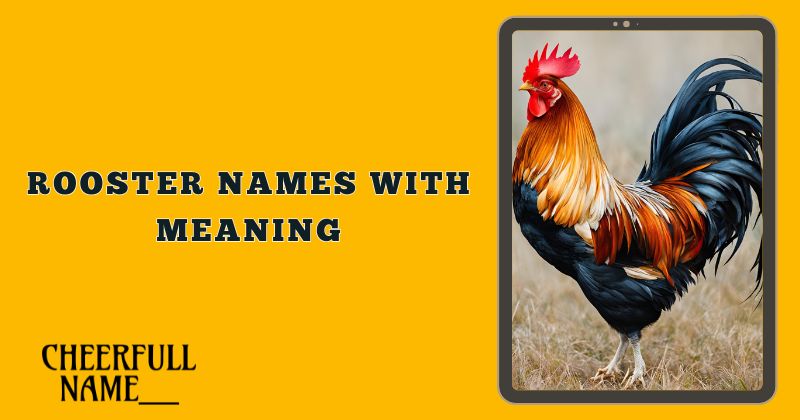 Rooster Names With Meaning